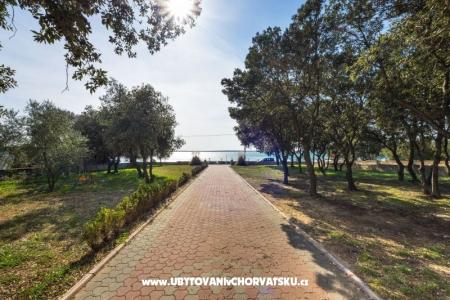 Apartmaji RIVa foto 3