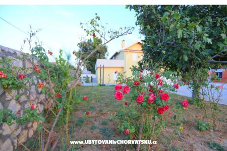 Apartma Novak Rudic foto 2