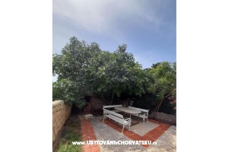Apartma Marta Novalja foto 2