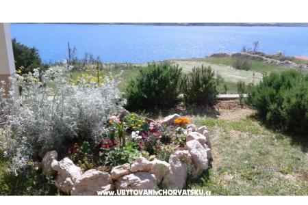 Apartmaji Ante foto 5