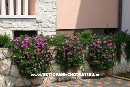 Apartmaji Grga foto 5