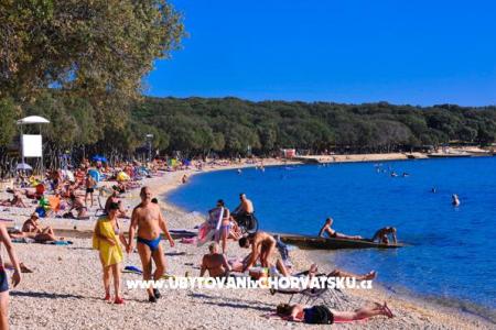 Apartmaji Milka  - island Pag foto 2