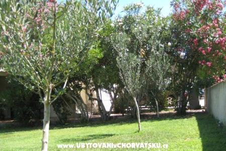 Apartmaji Suljic family foto 2