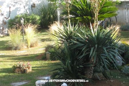 Villa Carrington foto 3