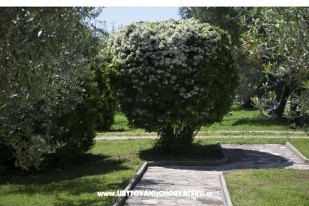 Sanja Apartmaji Novigrad foto 3