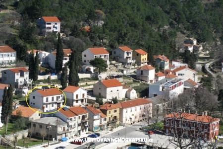 Apartma Jelka foto 2