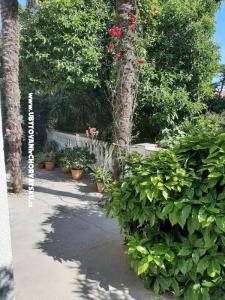 Apartmaji Baričević foto 5