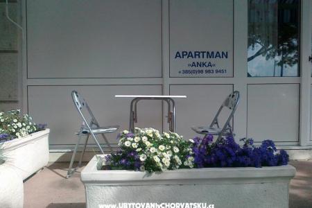 Apartma ANKA S. foto 3