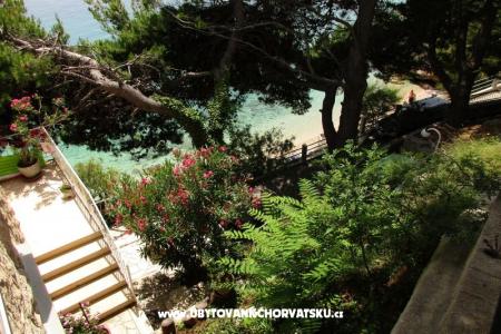 Apartmaji Darka na plaži foto 2