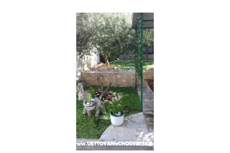 Apartmaji Draga foto 2