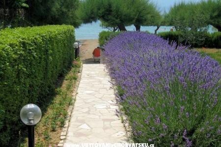 Apartmaji Lavanda foto 3