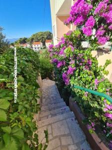 Apartmaji Miro, Duće foto 5