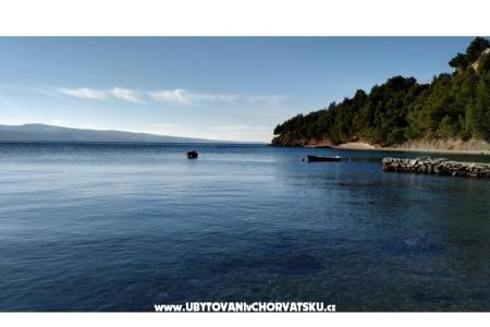 Apartmaji Ruža foto 3