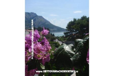 Apartmaji Vinka Saric foto 2