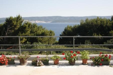 Apartmaji Višnja foto 2