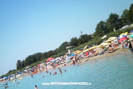 Apartma Smokvica foto 4