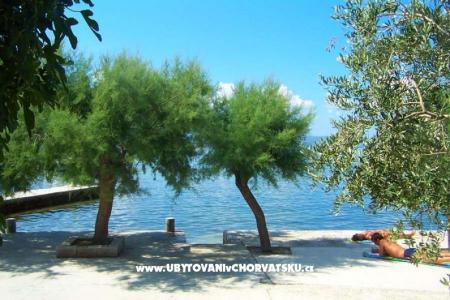 Apartmaji Mare foto 3