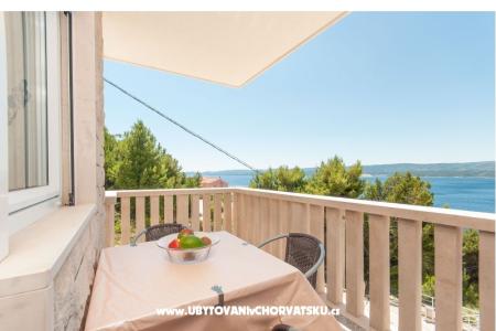 Apartmaji Villa Vesna Celina foto 2