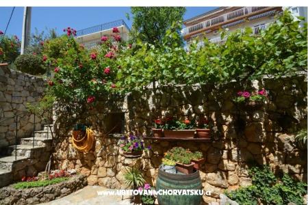 Apartma Vesela  foto 2