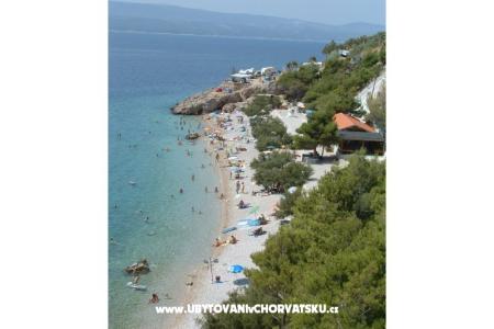 Apartmaji Mladina foto 2