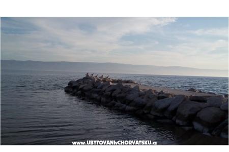 Apartma Cvita foto 3