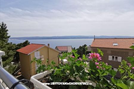 Apartmaji  RITA foto 4