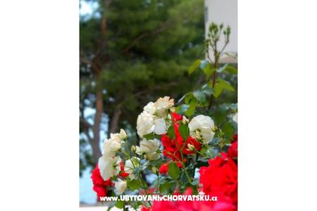 Villa Golubinka foto 5