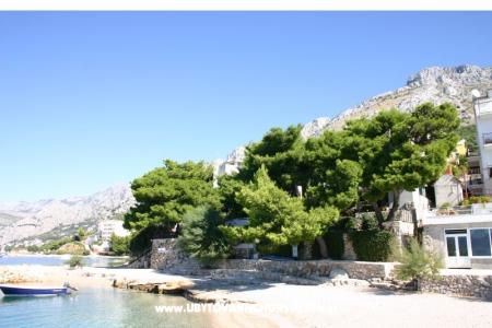 Villa Irma foto 2