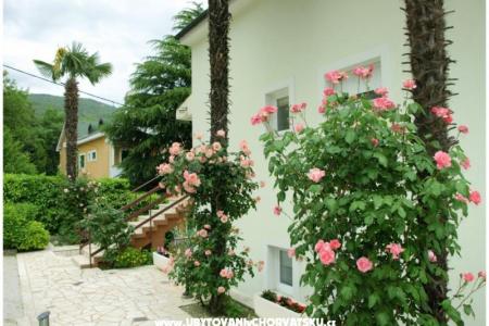 Apartma Meri foto 5