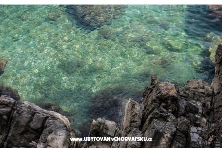 Garden of Pleasure foto 4