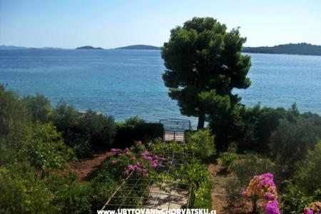 Apartmaji Šurjak foto 3