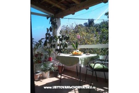 Apartma Braco foto 3