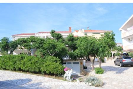 Apartmaji ANA foto 4