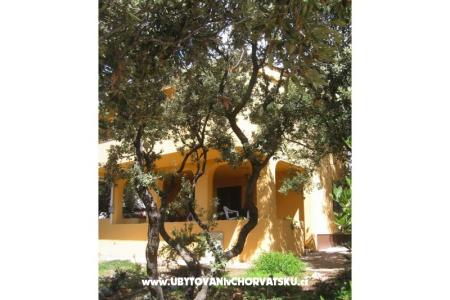 Apartmaji Marijana Mandre foto 3