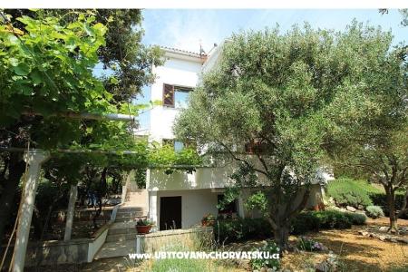 Apartmaji Salvia island Pag Mandre foto 4