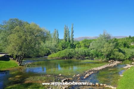 Apartmaji Tomic foto 3