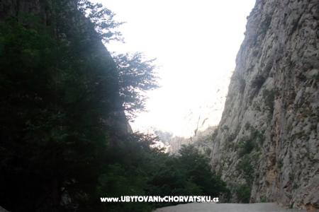 Apartmaji vesela foto 5