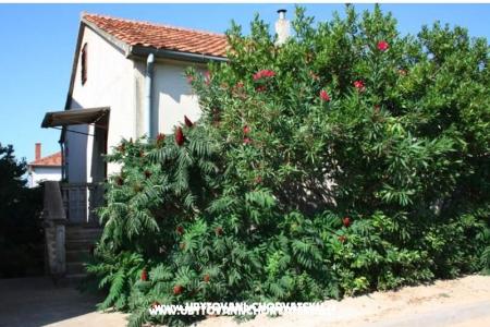 Apartma Marko foto 4