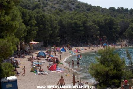 Apartmaji Drage foto 3