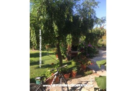 Apartmaji Jasa  foto 5