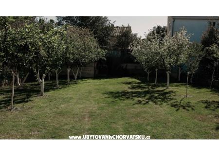 Apartmaji Ivišić foto 5