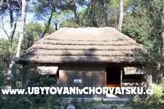 Pine Beach Pakoštane foto 4