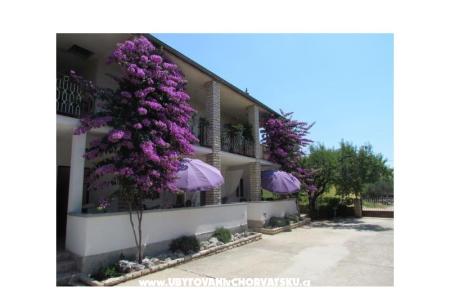 Apartmaji Pipi foto 3