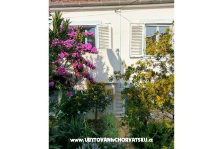 Apartmaji Marija-Tkon foto 4