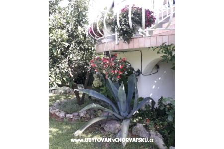 Apartmaji Lokva foto 4