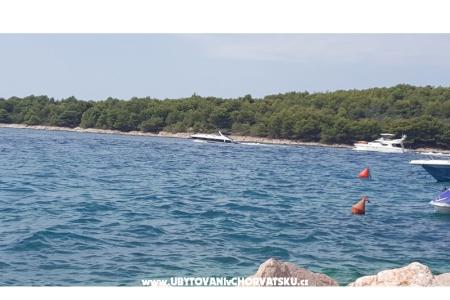 Apartmaji Ždrelac foto 4