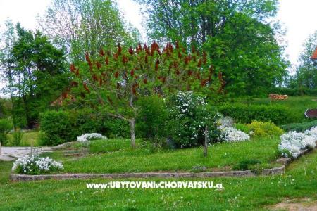 Blazenka Hodak foto 2