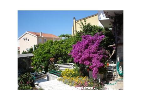 Apartmaji - Minka i Vite Podgora Hrvaška