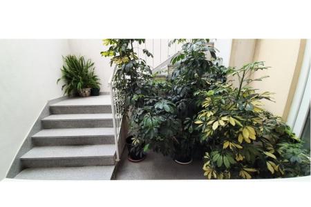 Apartmaji Mila foto 4