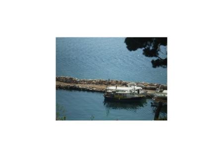 Apartmaji Antonela foto 4